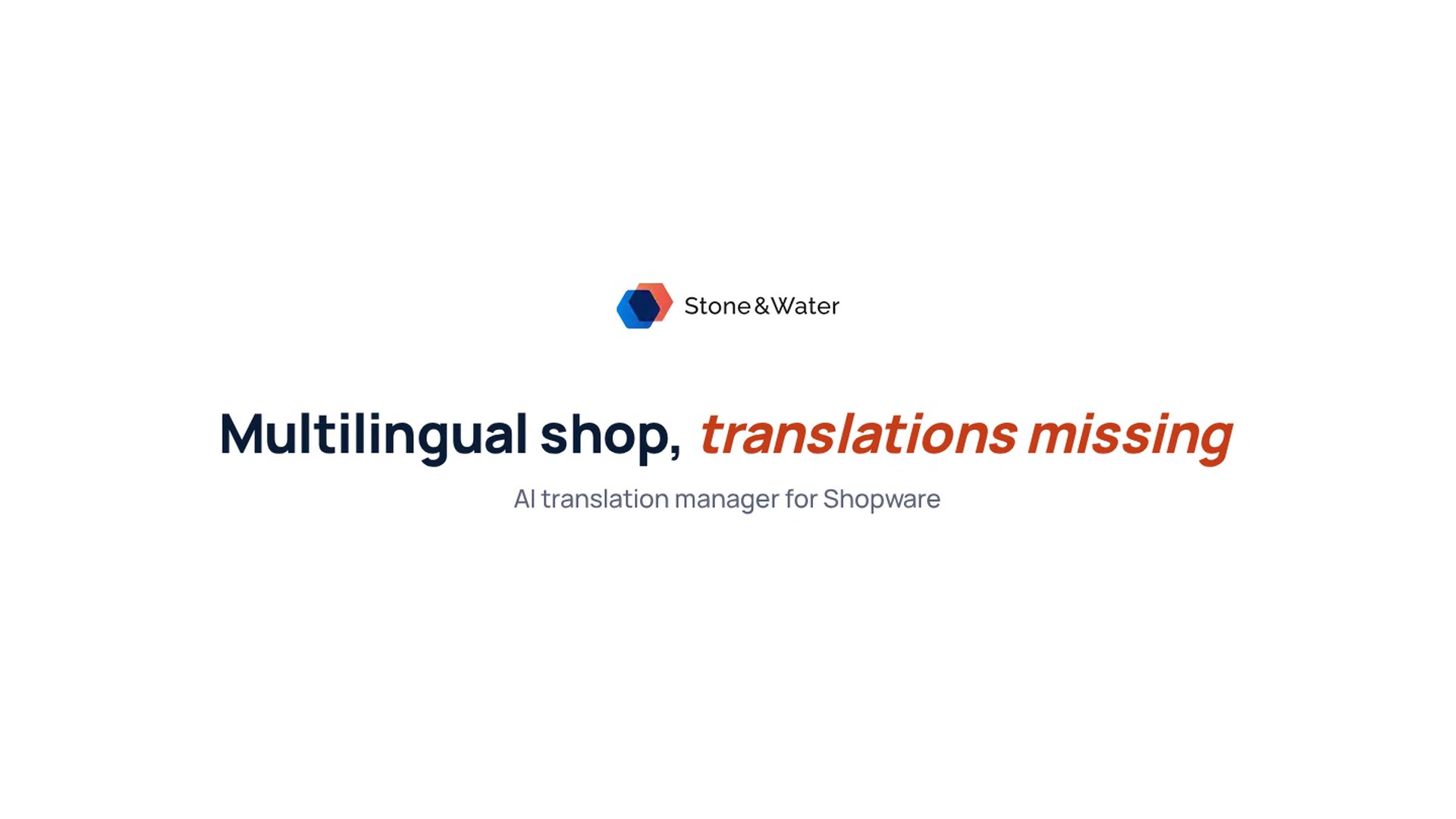 AI Translation Manager - the video